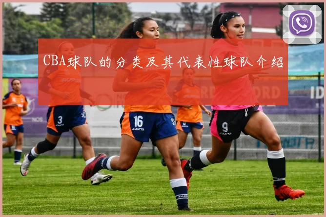 CBA球队的分类及其代表性球队介绍