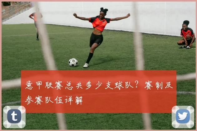 意甲联赛总共多少支球队？赛制及参赛队伍详解
