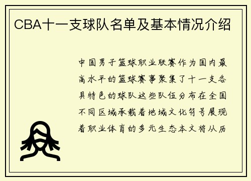 CBA十一支球队名单及基本情况介绍